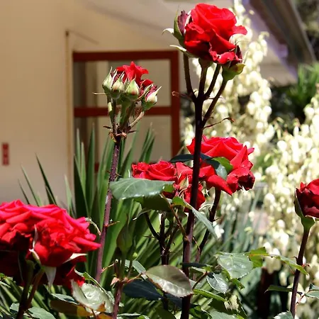 Heracles Village Hotel Capaccio